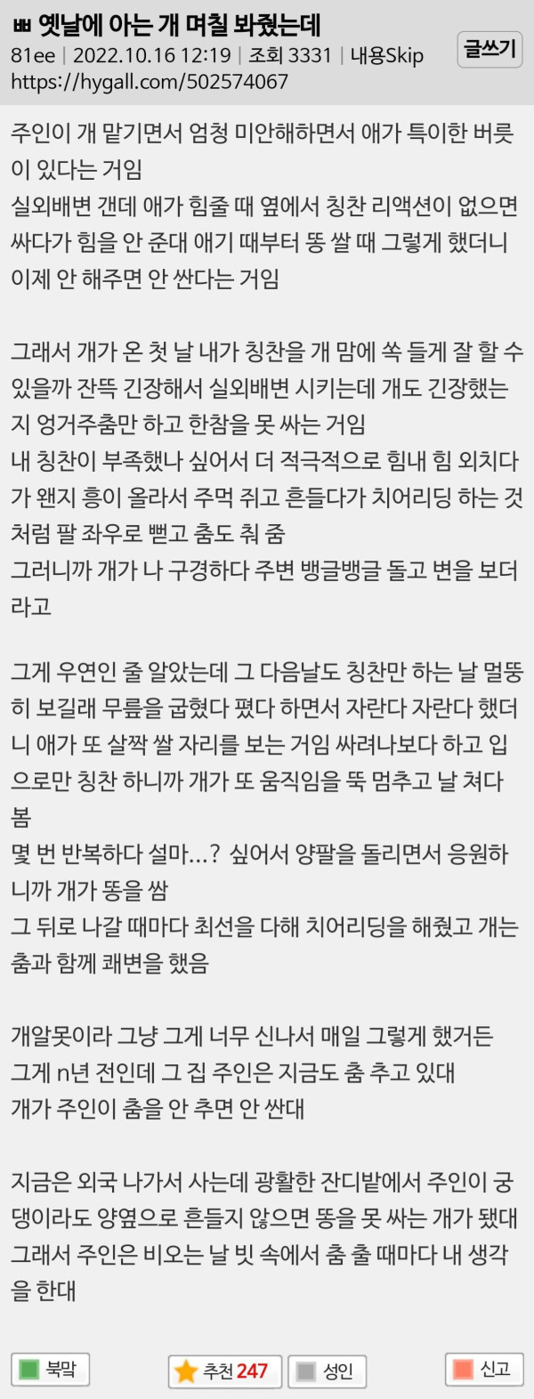 옛날에 아는개 며칠 봐줬는데