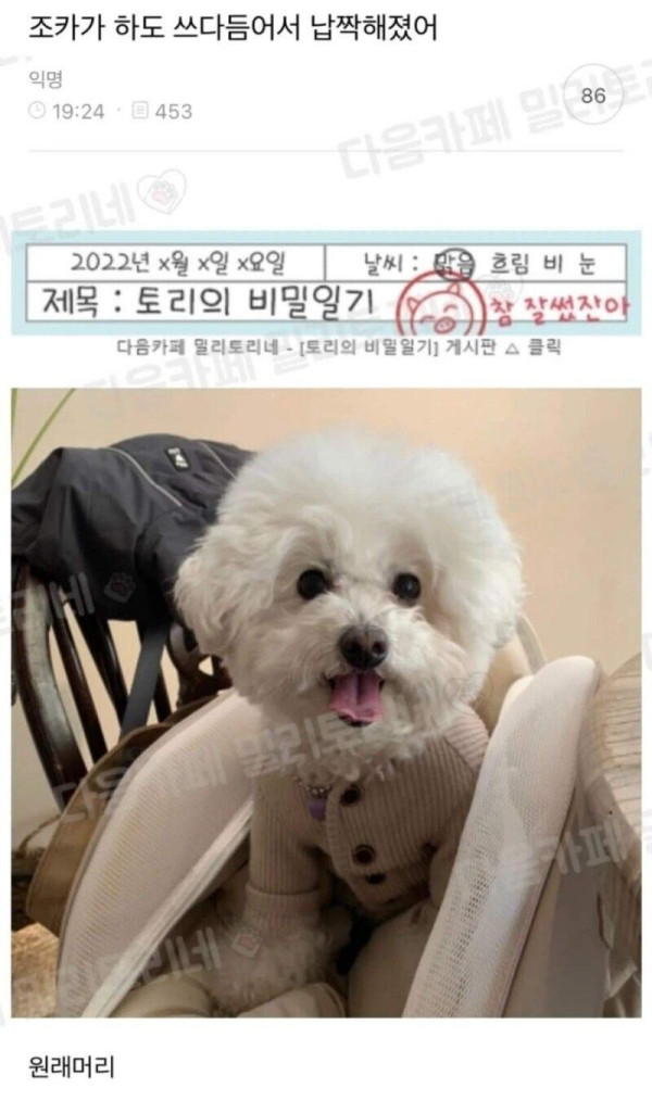 조카가 하도 쓰다듬어서 납작해졌어