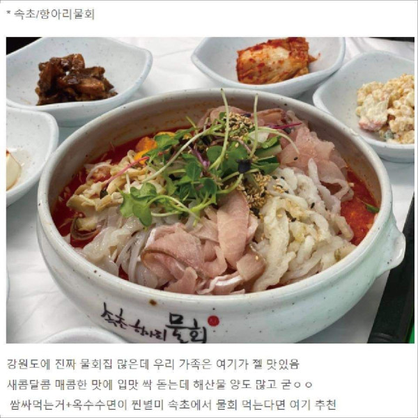 내돈내산 강원도 맛집 모음